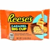 Reese's Peanut Butter Big Cup With Caramel - 1.4oz (BB 09/2024)(Reeses Peanut Butter Big Cup With Caramel 1 4oz) -Tasty Candy Hub IMG 7023